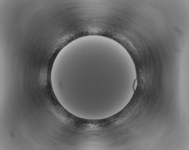 X0000111370496200908211321