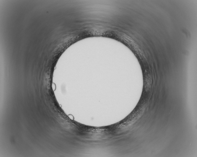 X0000111370497200908211321