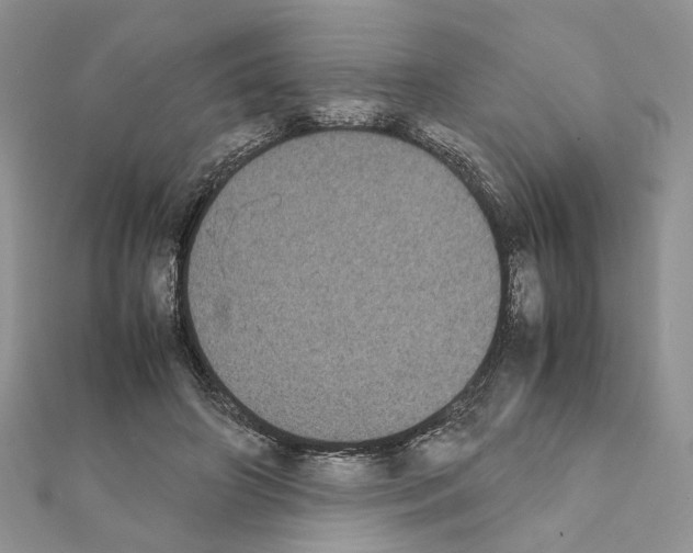 X0000111370498200908211321
