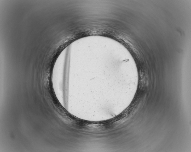 X0000111370499200908211321