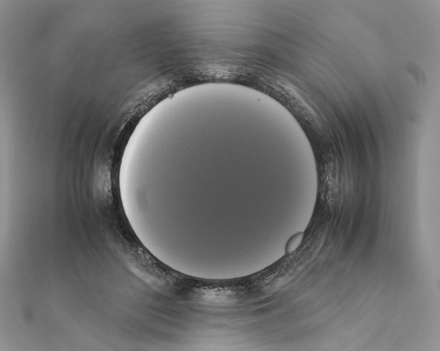 X0000111370500200908211321