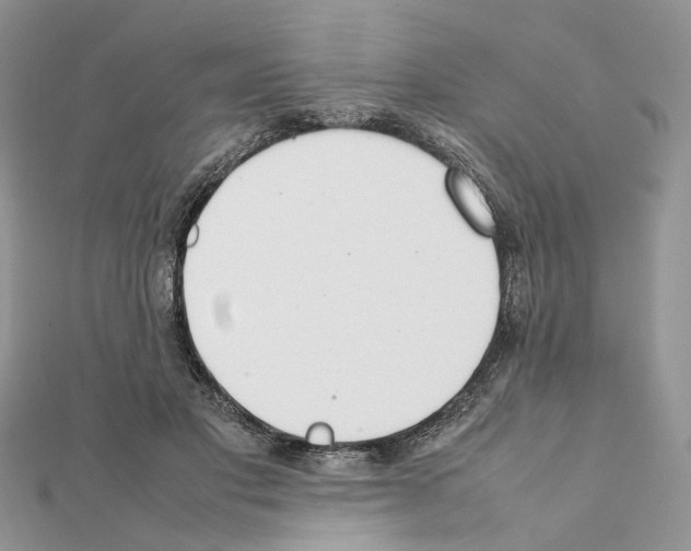 X0000111370501200908211321