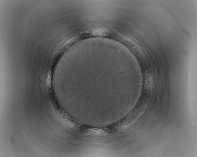 X0000111370502200908211321