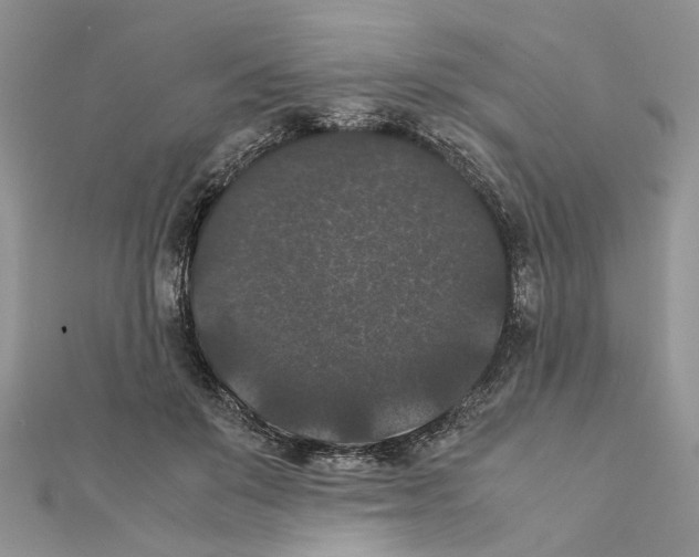 X0000111370503200908211321