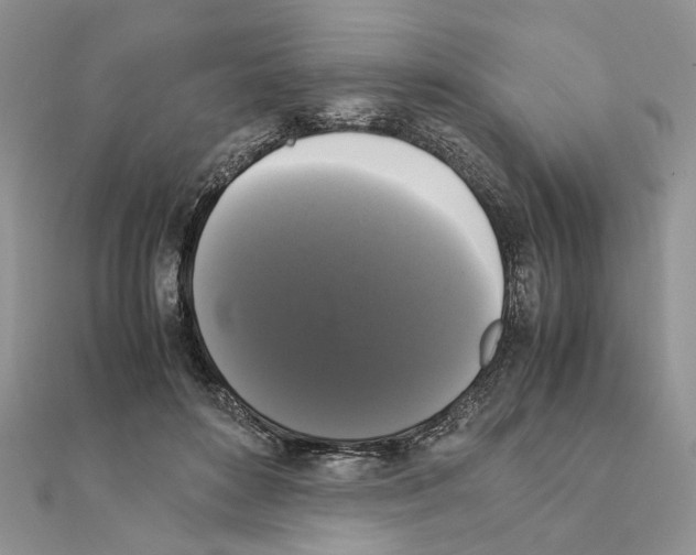 X0000111370504200908211321
