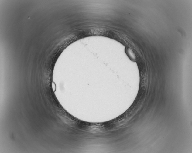 X0000111370505200908211321