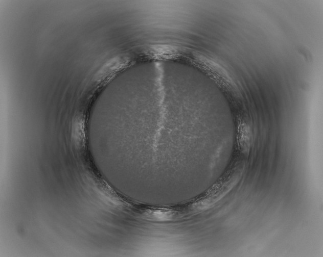 X0000111370506200908211321