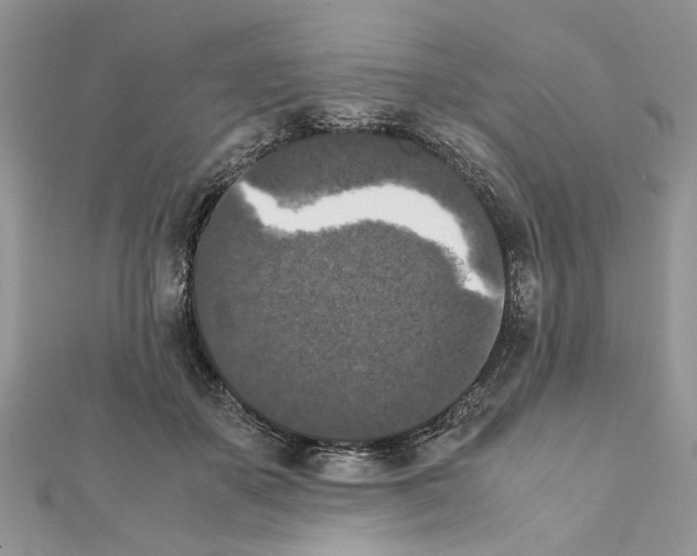 X0000111370507200908211321