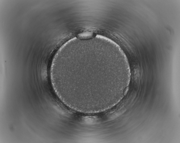 X0000111370508200908211321