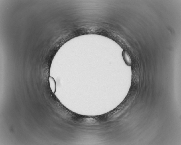 X0000111370509200908211321
