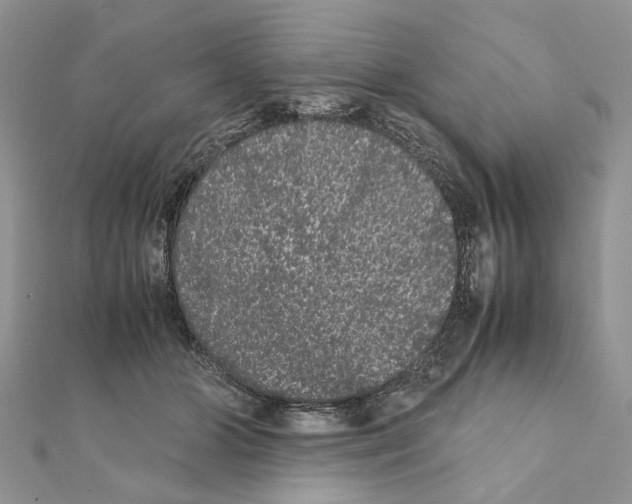 X0000111370510200908211321