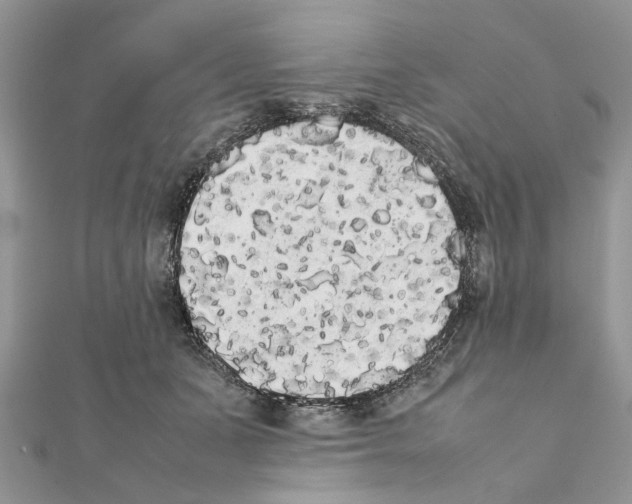 X0000111370511200908211321