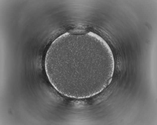 X0000111370512200908211321