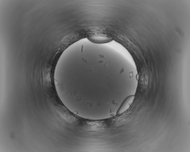 X0000111370516200908211321