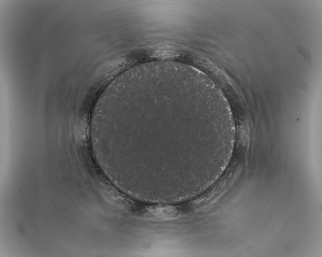 X0000111370517200908211321
