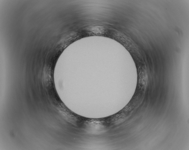 X0000111370518200908211321