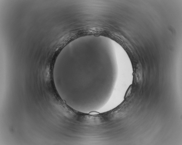 X0000111370520200908211321