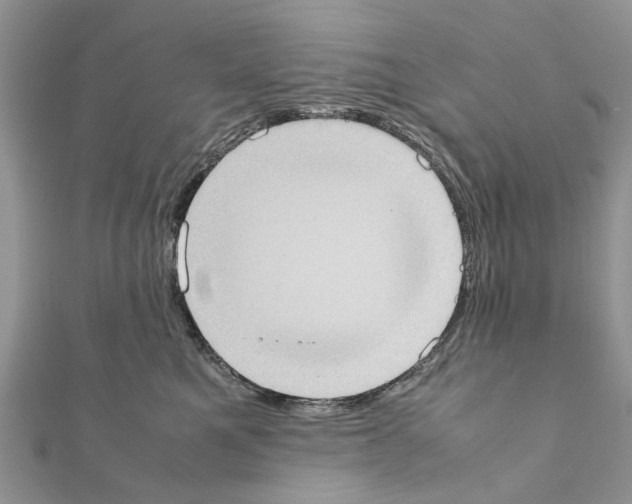 X0000111370521200908211321