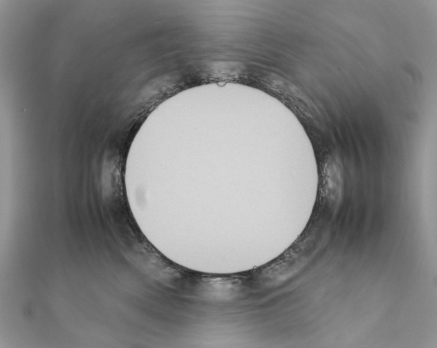 X0000111370522200908211321