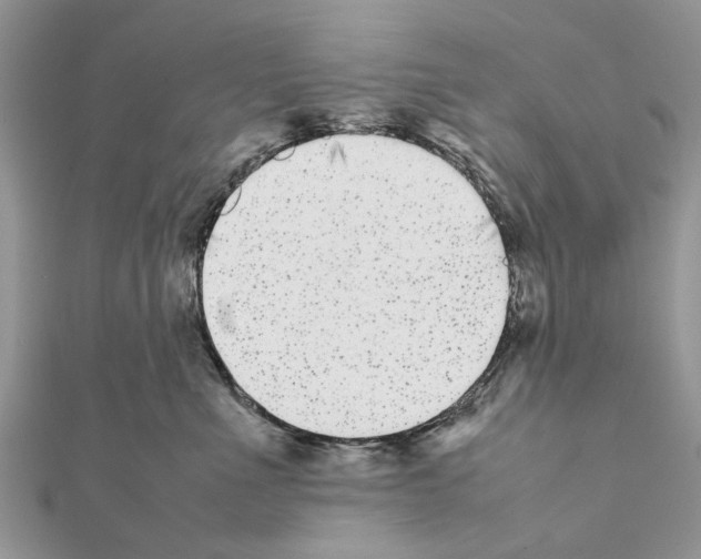 X0000111370523200908211321