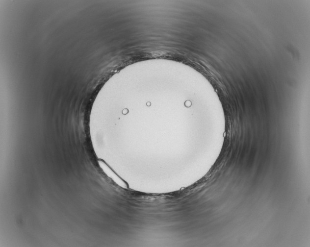 X0000111370524200908211321
