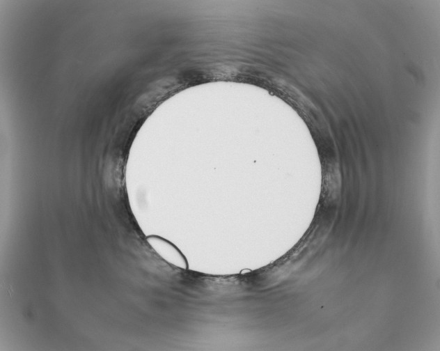 X0000111370525200908211321