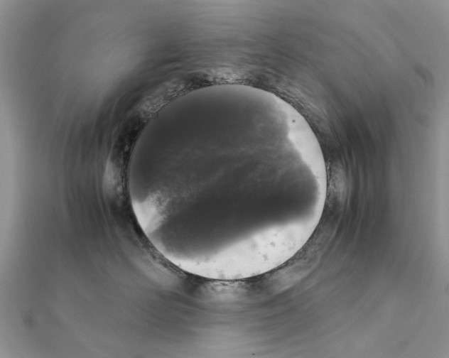 X0000111370526200908211321