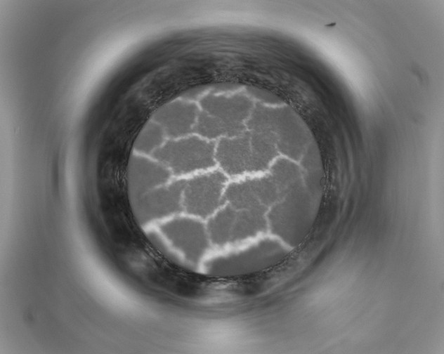 X0000111370527200908211321