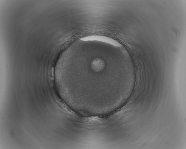 X0000111370528200908211321