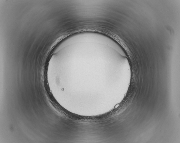 X0000111370530200908211320