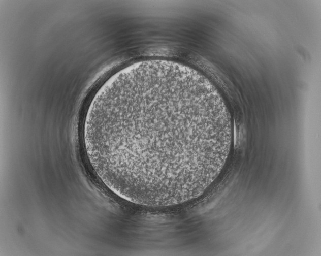 X0000111370531200908211320