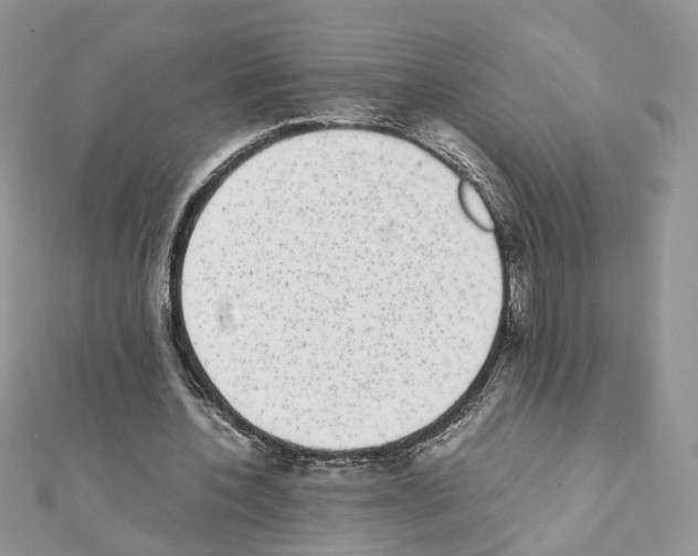 X0000111370532200908211320