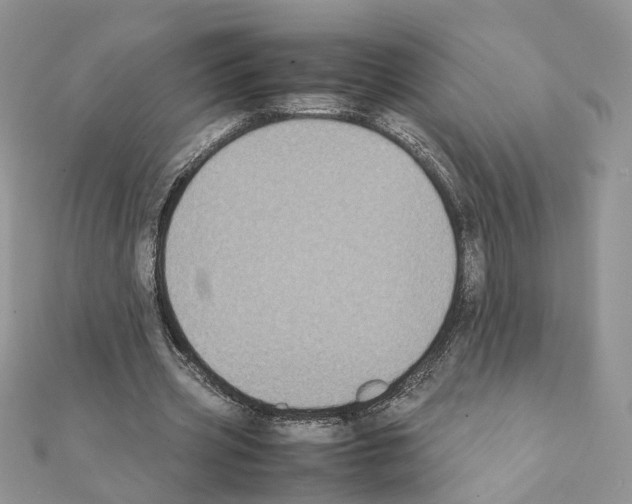 X0000111370533200908211320