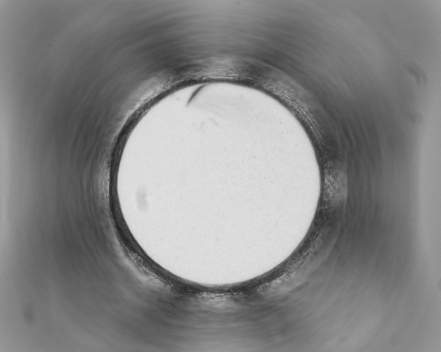 X0000111370534200908211320