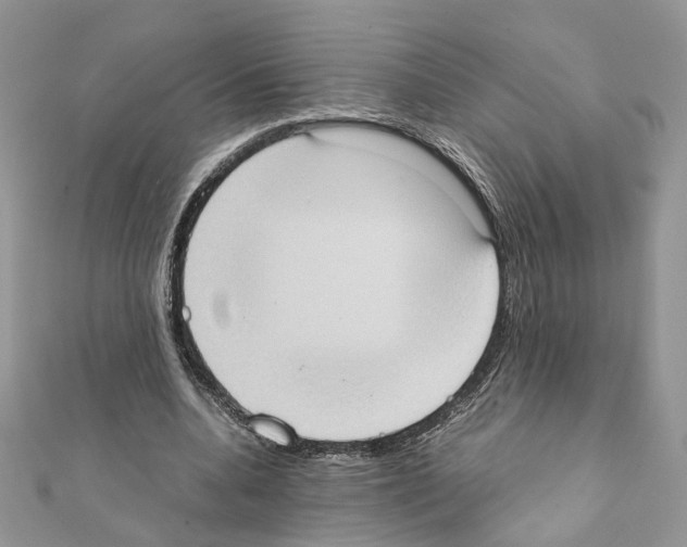 X0000111370536200908211320