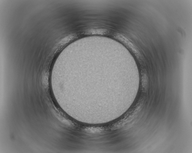 X0000111370537200908211320