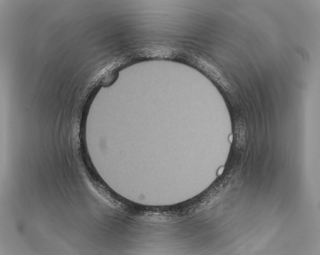 X0000111370538200908211320