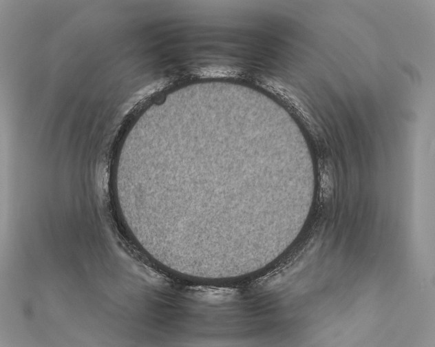 X0000111370539200908211320