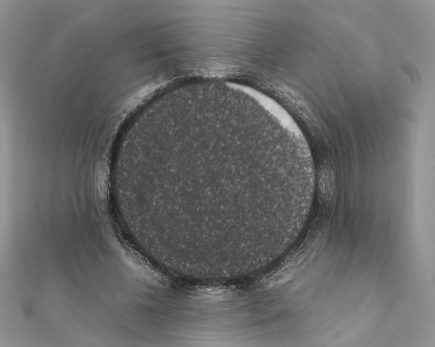 X0000111370540200908211320
