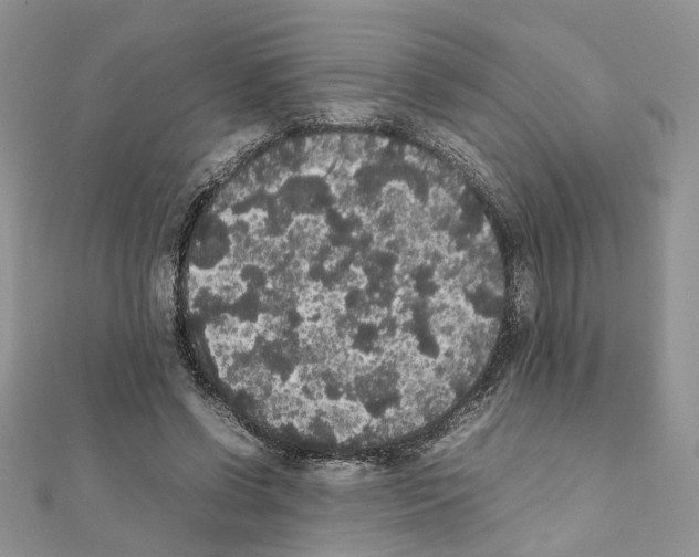 X0000111370542200908211320