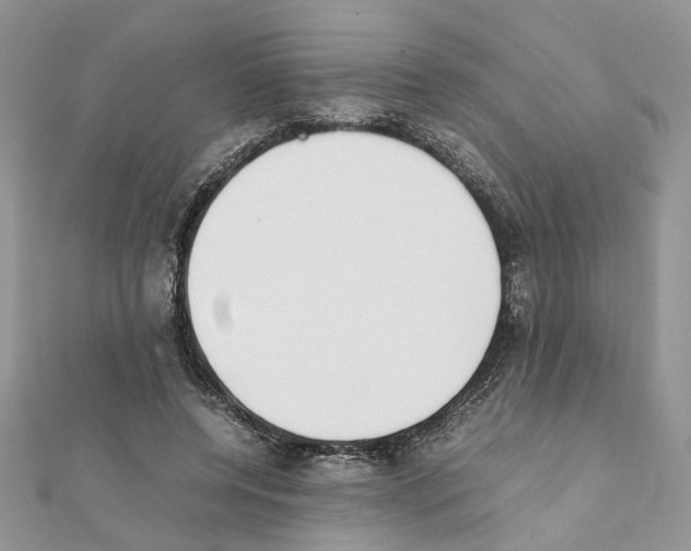 X0000111370544200908211320