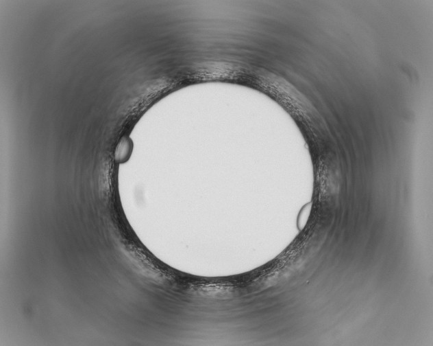 X0000111370546200908211320