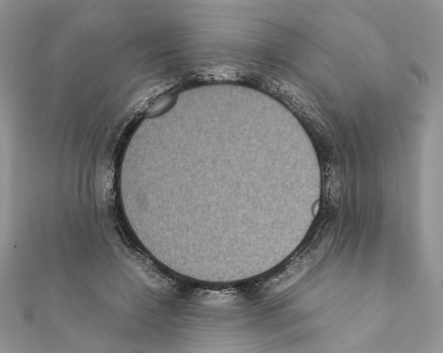 X0000111370548200908211320