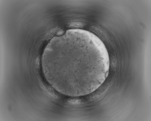 X0000111370551200908211320