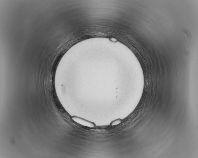 X0000111370552200908211320