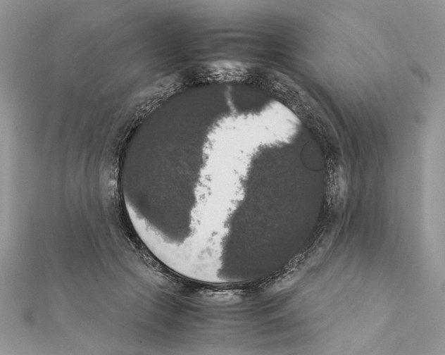 X0000111370553200908211320