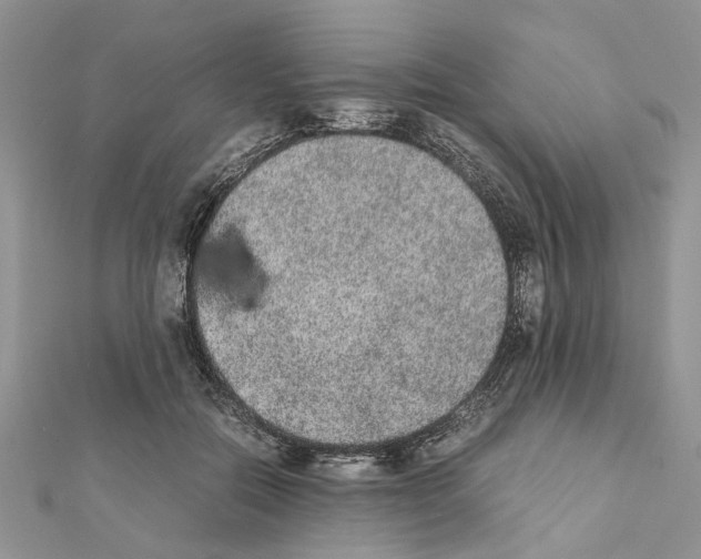 X0000111370554200908211320
