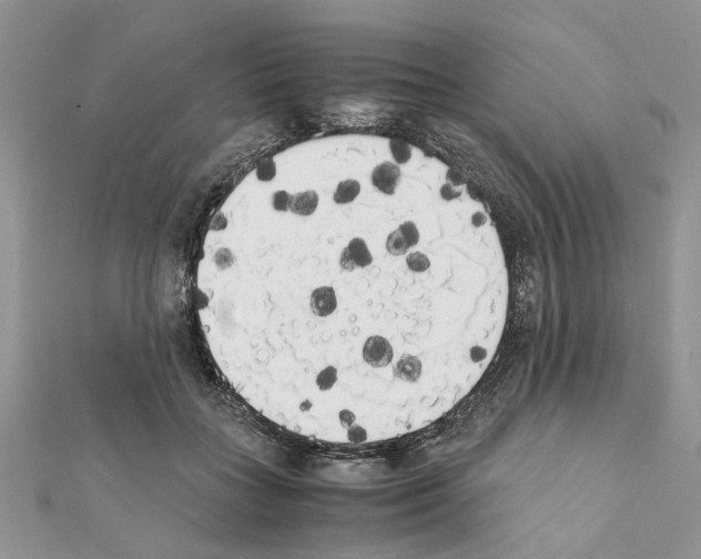 X0000111370555200908211320