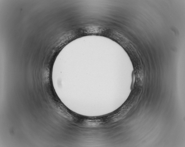 X0000111370556200908211320