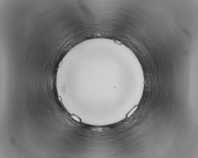 X0000111370558200908211320